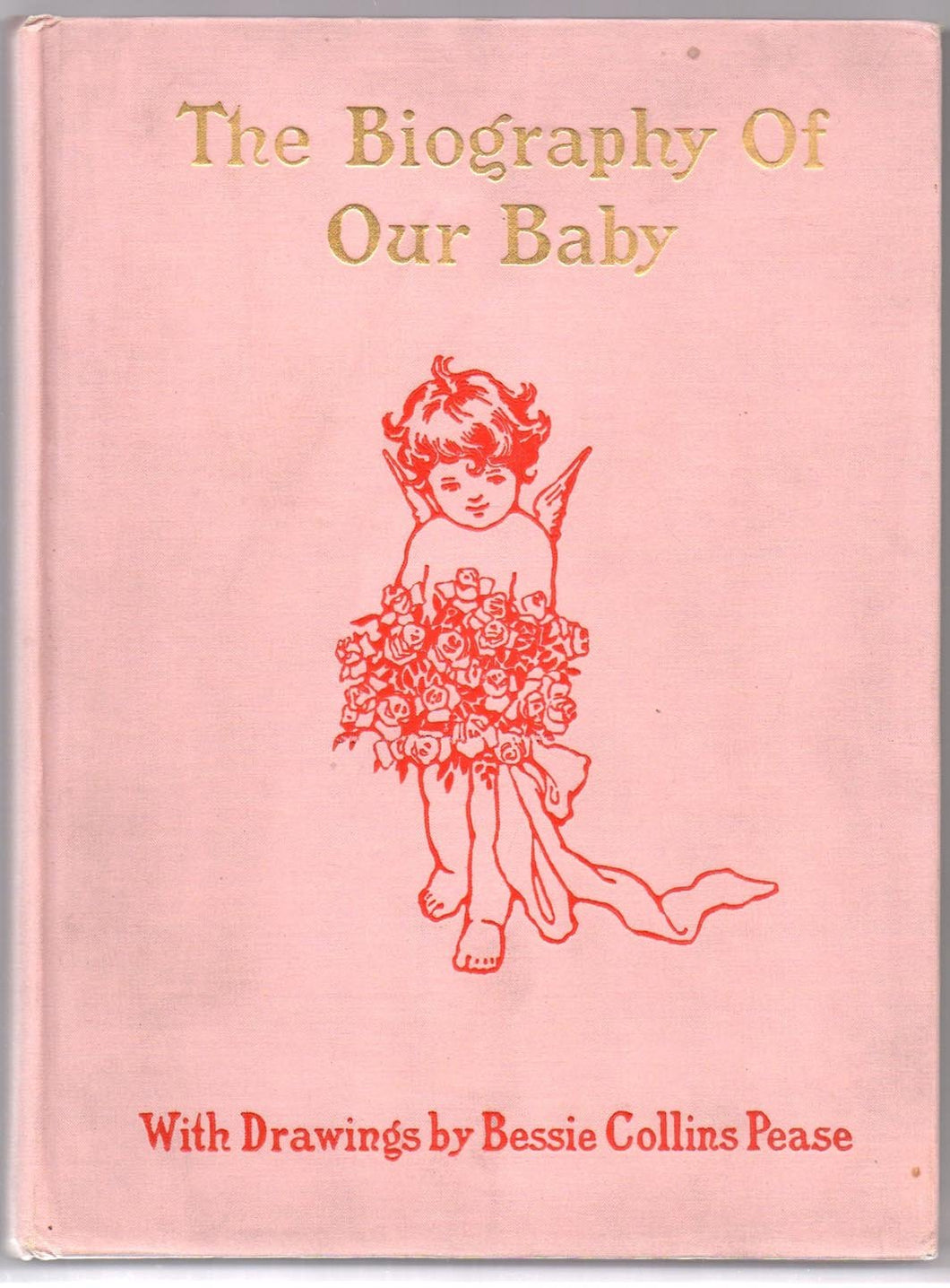 The Biography of Our Baby