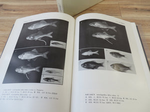 Nihon no koika gyorui = Cyprinid Fishes of Japan: Studies on the Life History of Cyprinid of Japan