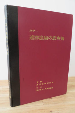 Colored Illustrations of Bottomfishes Collected by Japanese Trawlers