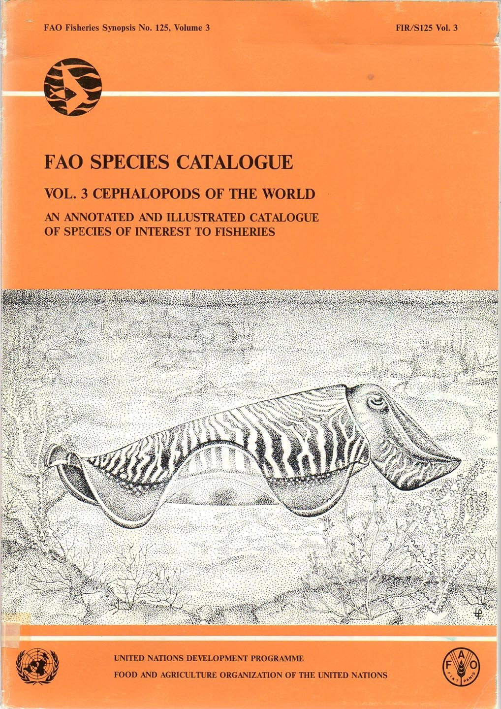 Cephalopods of the World: an Annotated and Illustrated Catalogue of Species of Interest to Fisheries (FAO Species Catalogue Vol. 3)