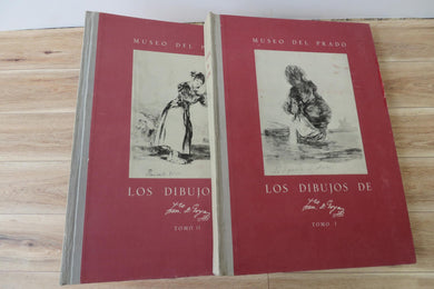 Los Dibujos de Goya. Reproducidos a su tamano y en su color (2 volumes)