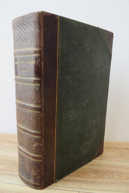 The Dodd Family Abroad