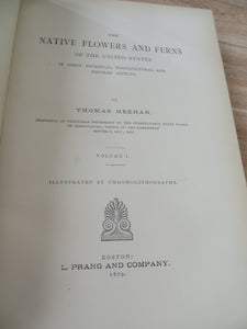 The Native Flowers and Ferns of the United States in their Botanical, Horticultural, and Popular Aspects