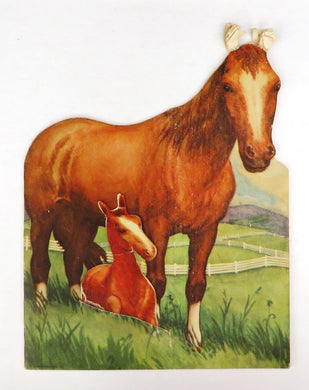 Dreamy: The Colt who wanted to be a Racehorse