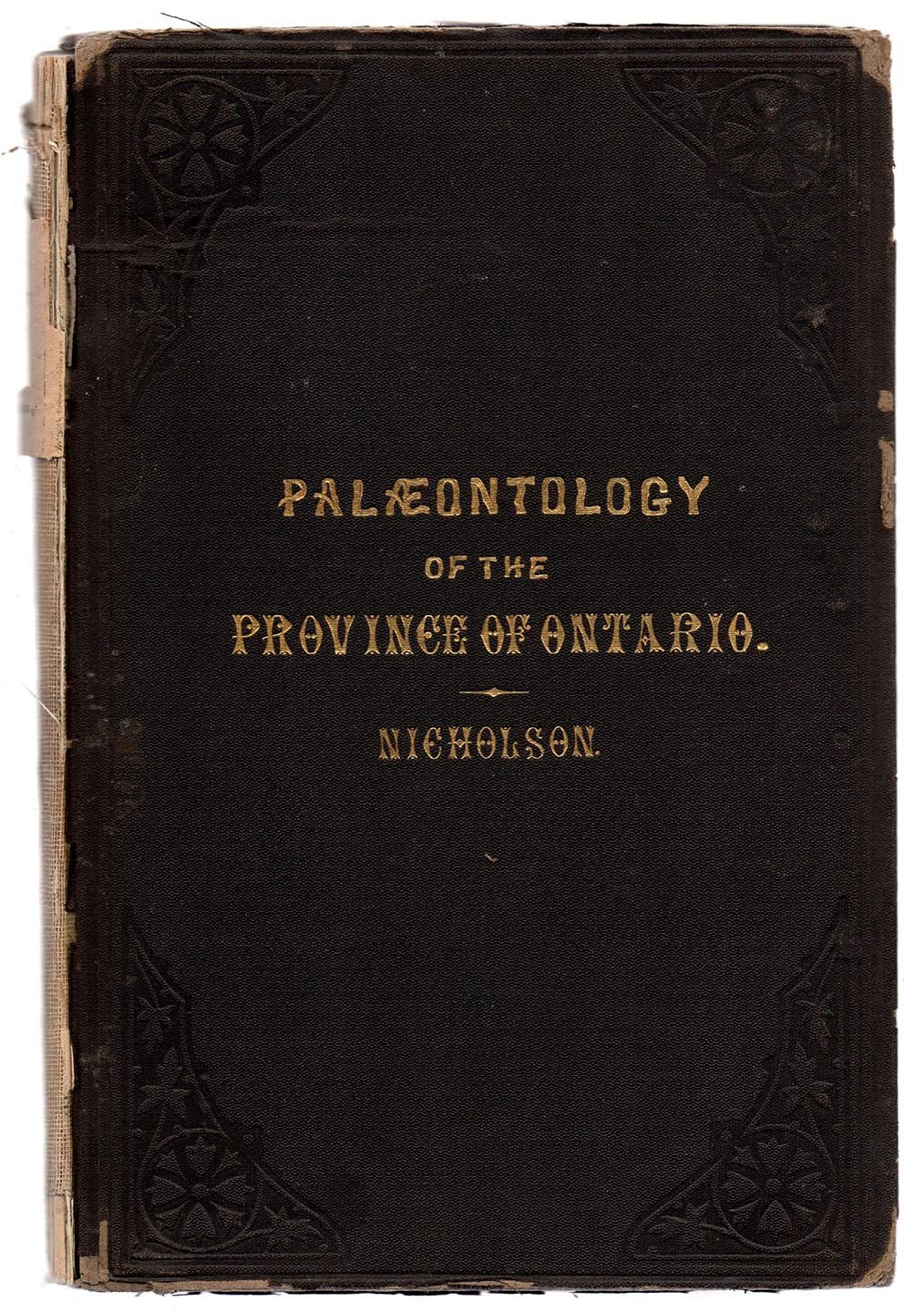 Report upon the Palaeontology of the Province of Ontario