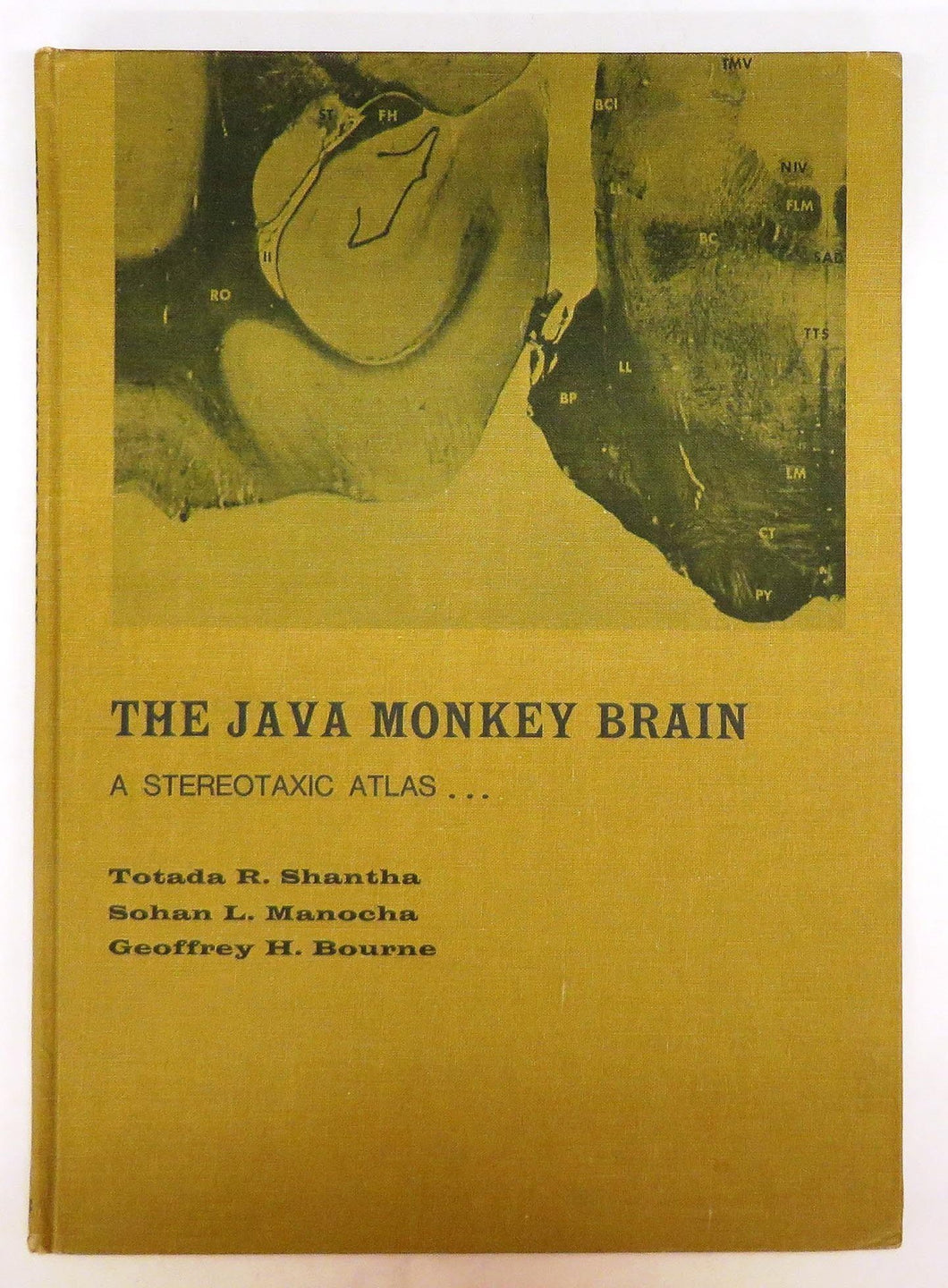 A Stereotaxic Atlas of the Java Monkey Brain