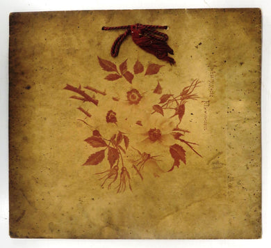Midsummer Flowers: Designs of Maple Leaves; Clematis; Wild Raspberry; Meadow Sweet, Berries and Ferns. Poems by Prominent Authors