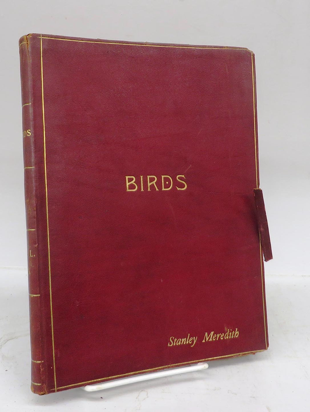 Birds and All Nature in Natural Colors. A Monthly Serial. Forty Illustrations by Color Photography. A Guide in the Study of Nature. Volume VI