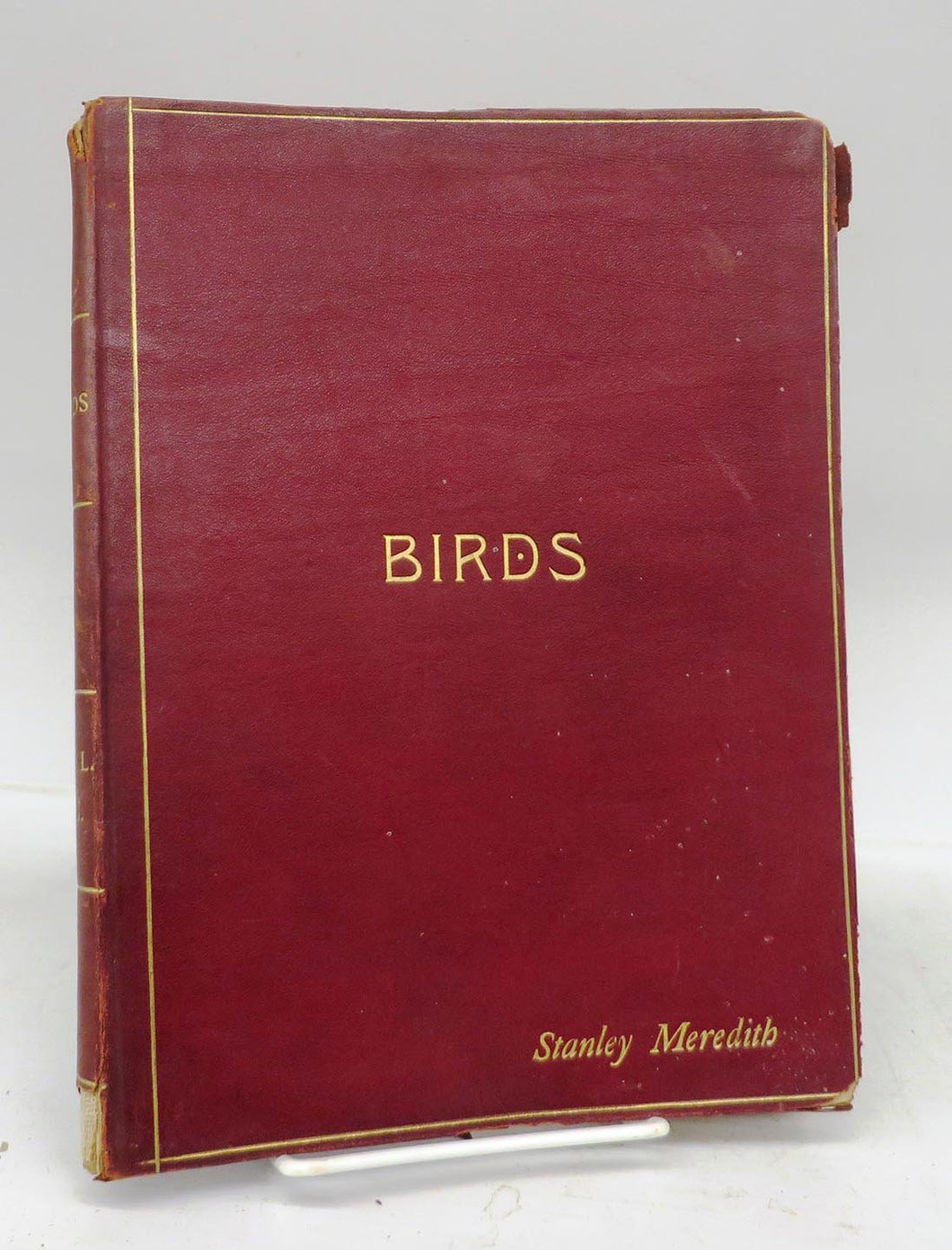 Birds and All Nature in Natural Colors. A Monthly Serial. Forty Illustrations by Color Photography. A Guide in the Study of Nature. Volume VII