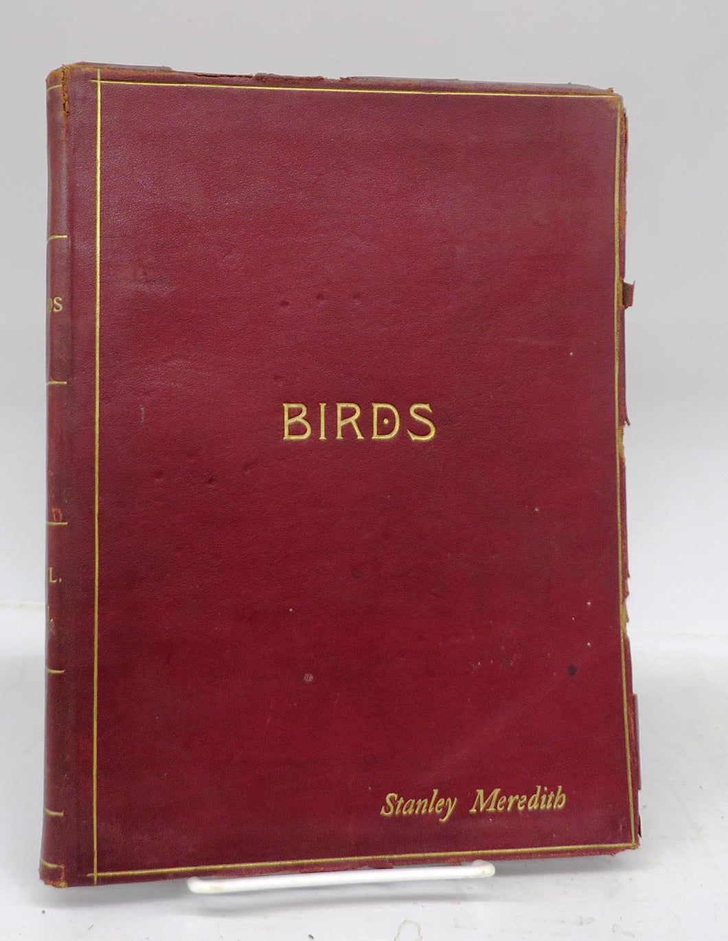 Birds and All Nature in Natural Colors. A Monthly Serial. Forty Illustrations by Color Photography. A Guide in the Study of Nature. Volume VIII