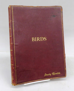 Birds and All Nature in Natural Colors. A Monthly Serial. Forty Illustrations by Color Photography. A Guide in the Study of Nature. Volume XII