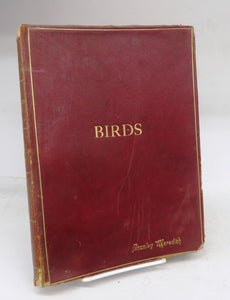 Birds and All Nature in Natural Colors. A Monthly Serial. Forty Illustrations by Color Photography. A Guide in the Study of Nature. Volume XV