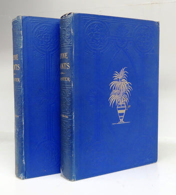 Alpine Plants: Figures and Descriptions of Some of the Most Striking and Beautiful of the Alpine Flowers
