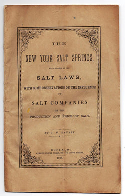 The New York Salt Springs, and a Glance at the Salt Laws, with some Observation on the Influence of Salt Companies on the Production and Price of Salt 
