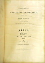 United States Exploring Expedition. During the Years 1838, 1839, 1840, 1841, 1842. Under the Command of Charles Wilkes, U.S.N. Atlas. Botany. Phanerogamia. Vol. I