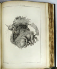Lectures on Comparative Anatomy; In Which are Explained The Preparations in The Hunterian Collection