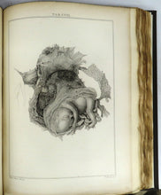 Lectures on Comparative Anatomy; In Which are Explained The Preparations in The Hunterian Collection