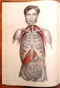 Medical Anatomy: Or, Illustrations of the Relative Position and Movements of the Internal Organs