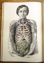 Medical Anatomy: Or, Illustrations of the Relative Position and Movements of the Internal Organs