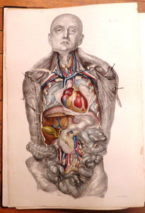 Medical Anatomy: Or, Illustrations of the Relative Position and Movements of the Internal Organs