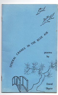 Several Cranes In The Blue Air