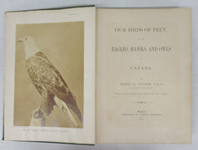 Our Birds of Prey, or the Eagles, Hawks, and Owls of Canada