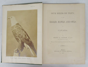 Our Birds of Prey, or the Eagles, Hawks, and Owls of Canada