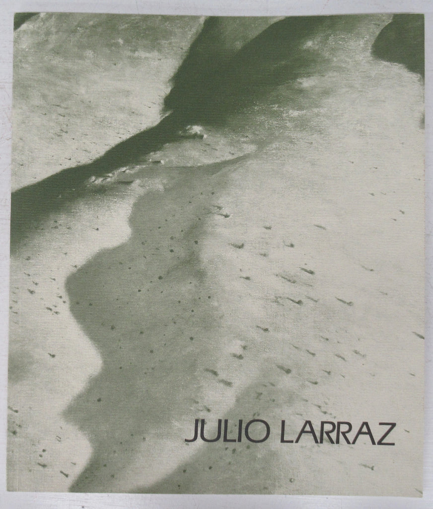 Julio Larrraz: Witness to Silence