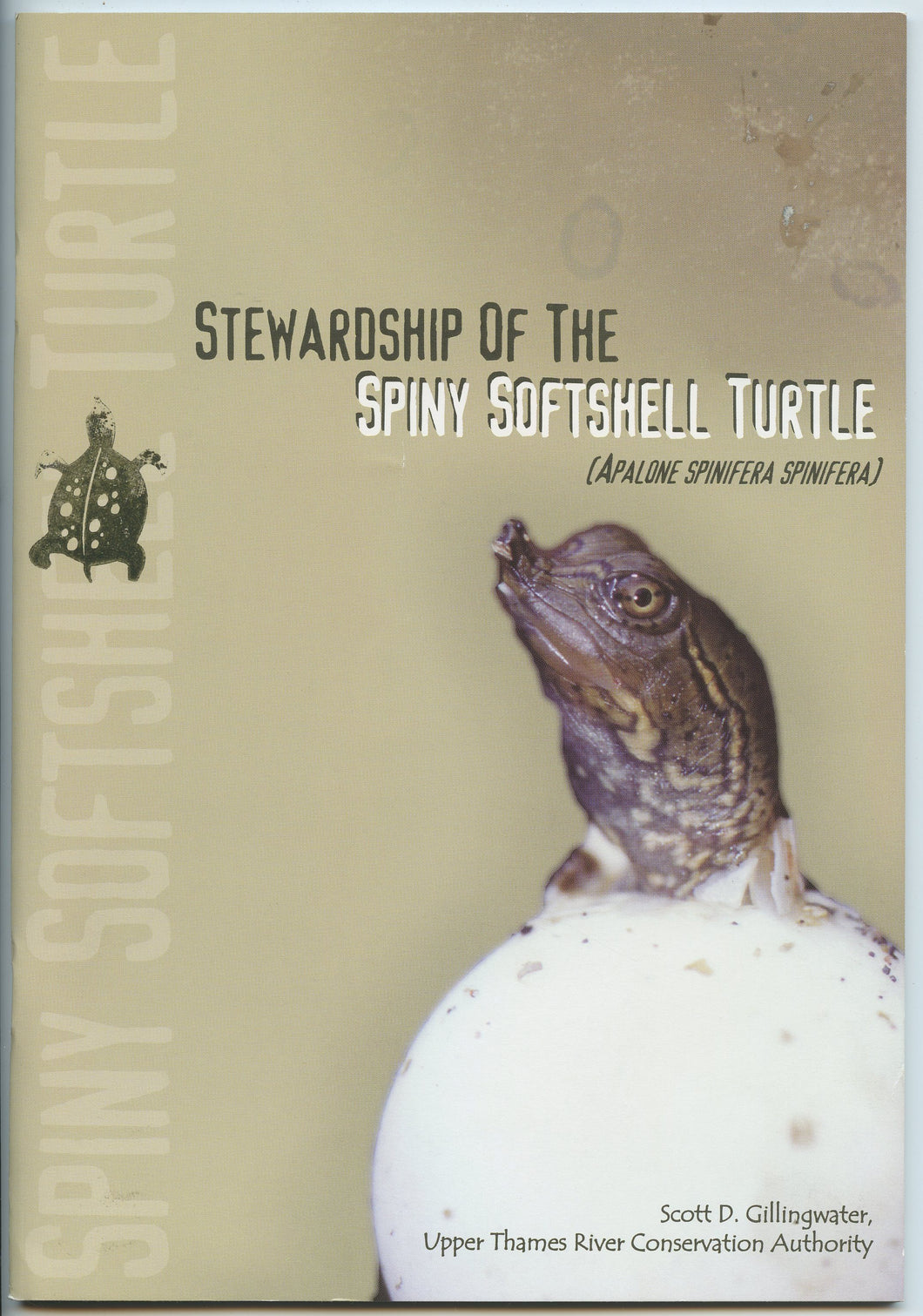 Stewardship of the Spiny Softshell Turtle