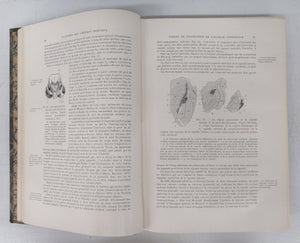 Anatomie des Centres Nerveux