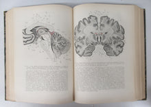 Anatomie des Centres Nerveux