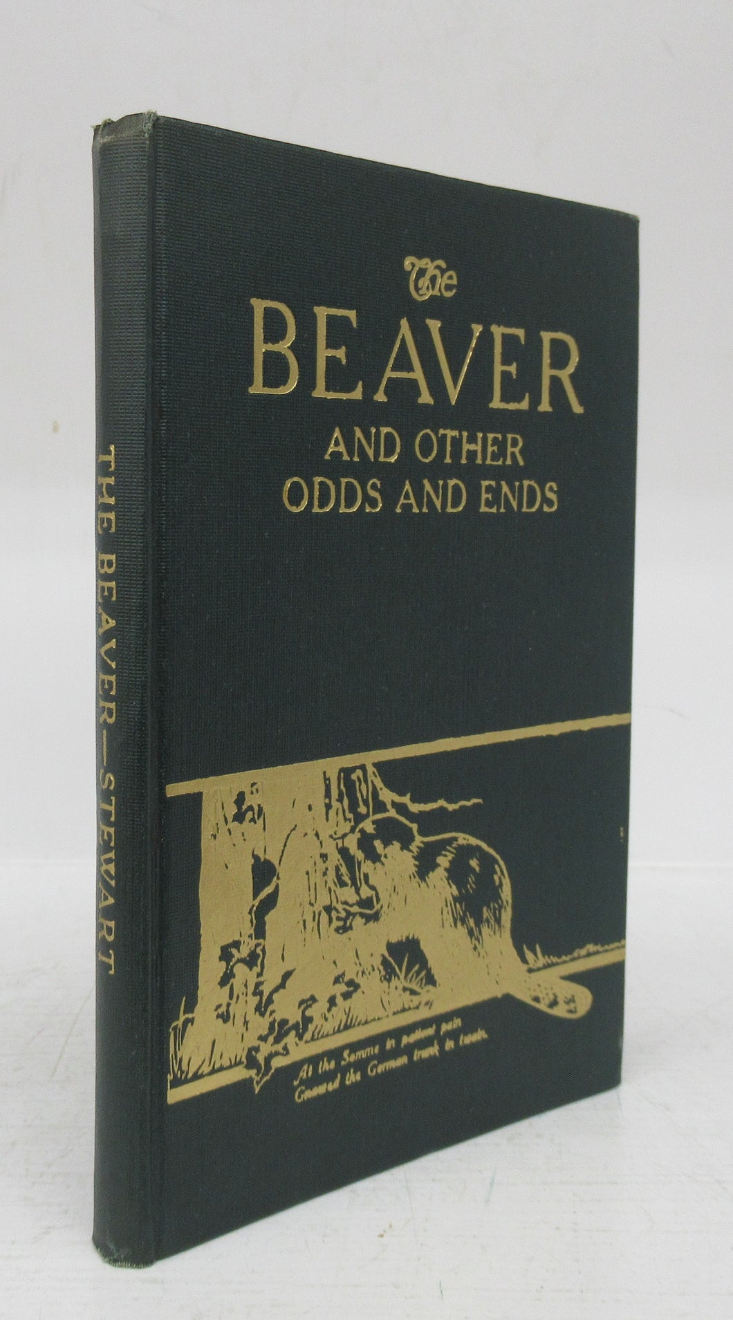 The Beaver and Other Odds and Ends