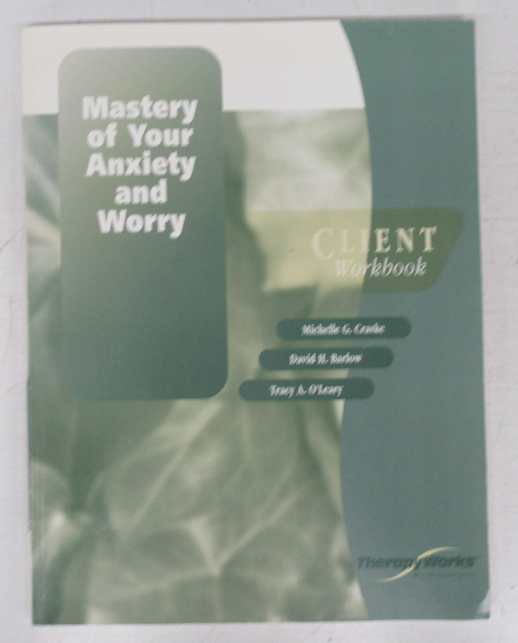 Mastery of Your Anxiety and Worry Client Workbook
