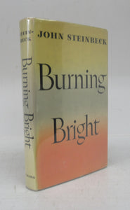 Burning Bright: A Play in Story Form
