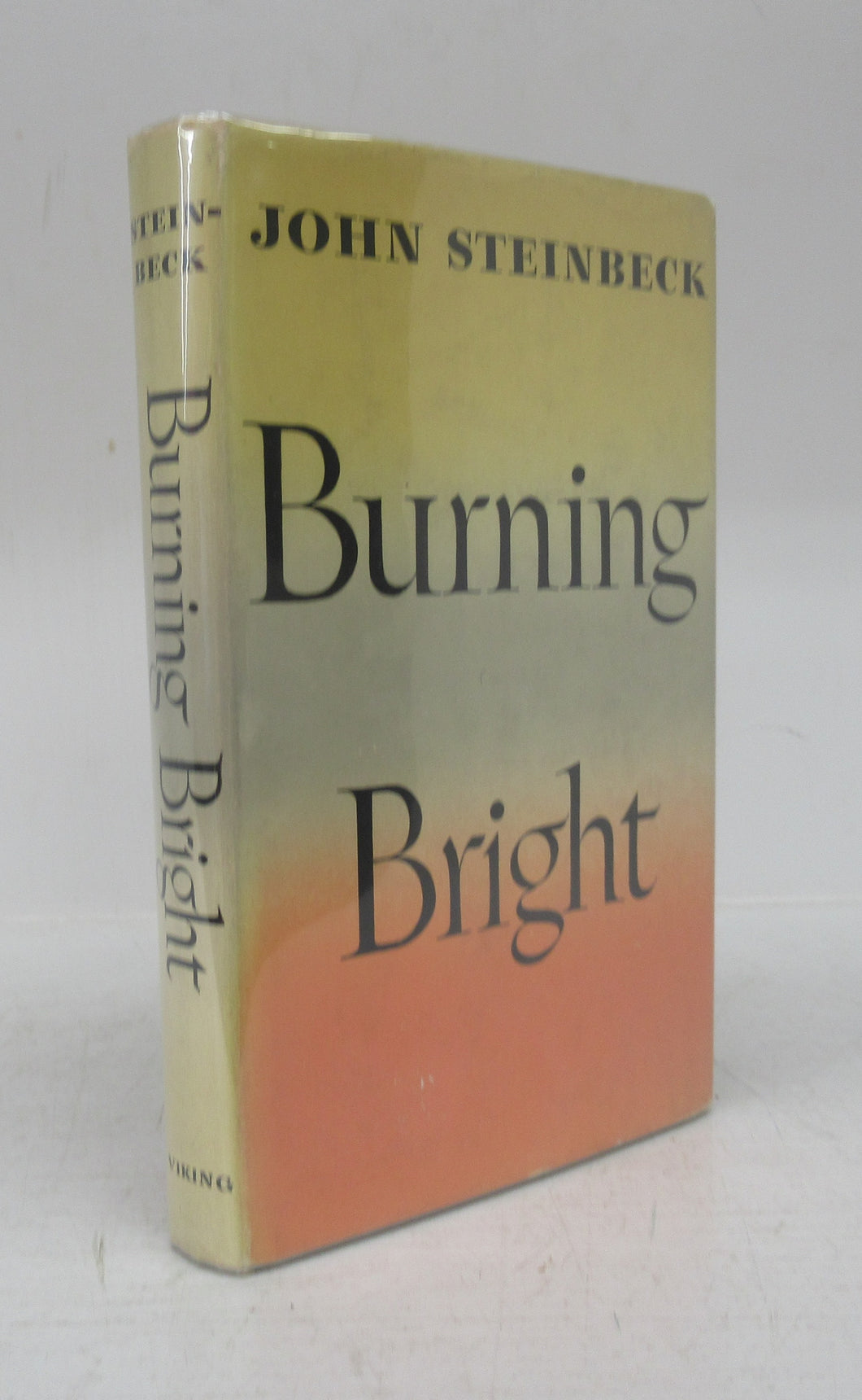 Burning Bright: A Play in Story Form