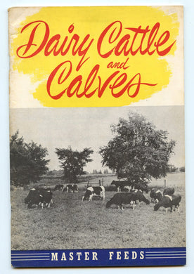 Dairy Cattle and Calves