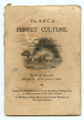 The A B C of Ferret Culture