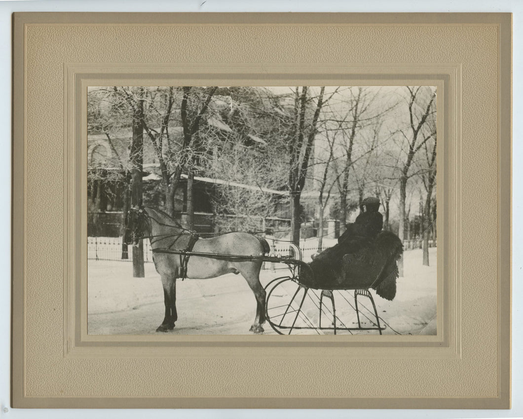 Photo of Bernard Scrivener in sleigh, Winnipeg