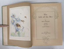 The Life of the Bee