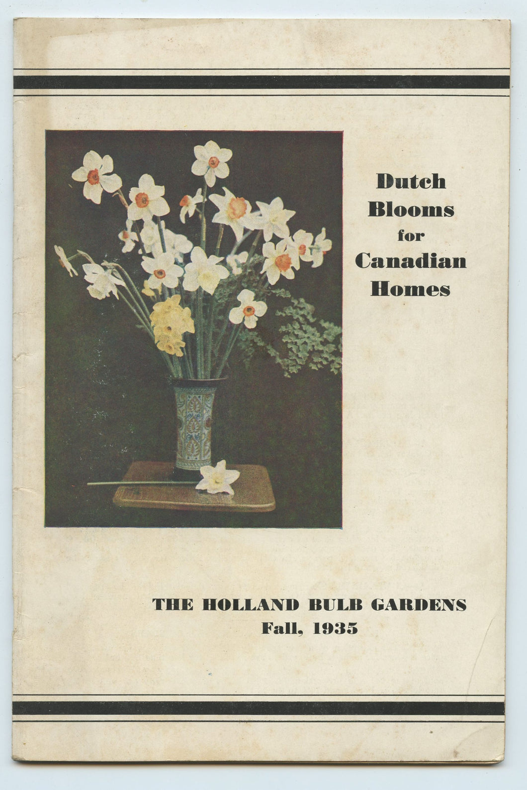 Dutch Blooms for Canadian Homes