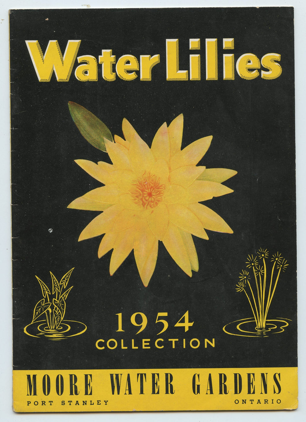 Water Lilies: 1954 Collection