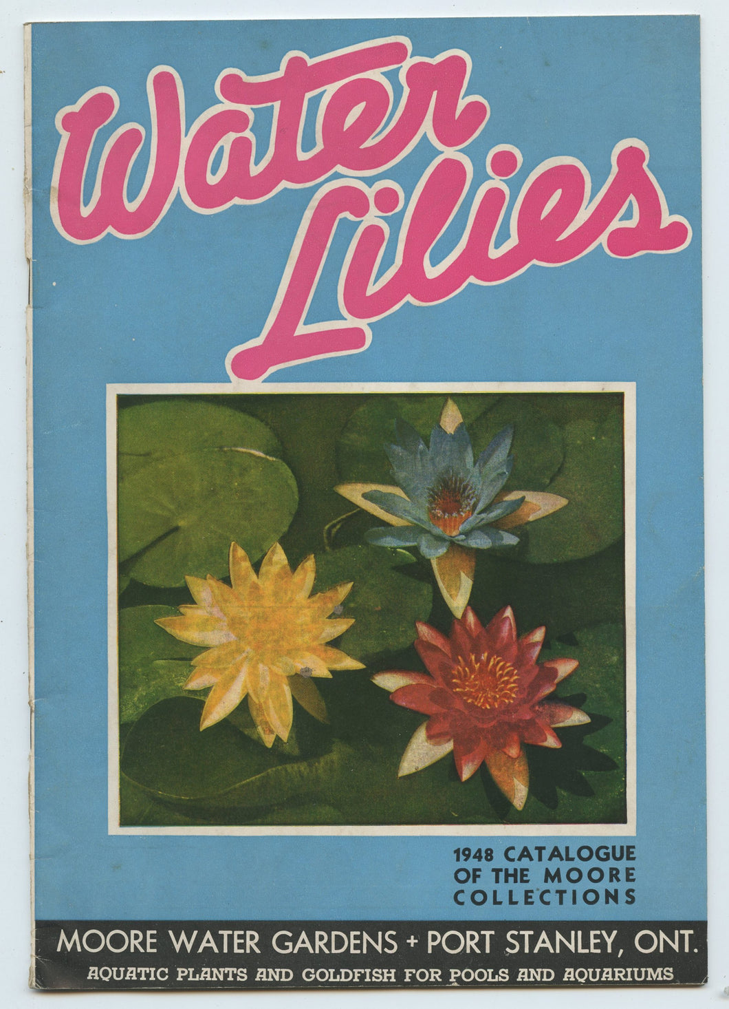 Water Lilies: 1948 Catalogue of the Moore Collections