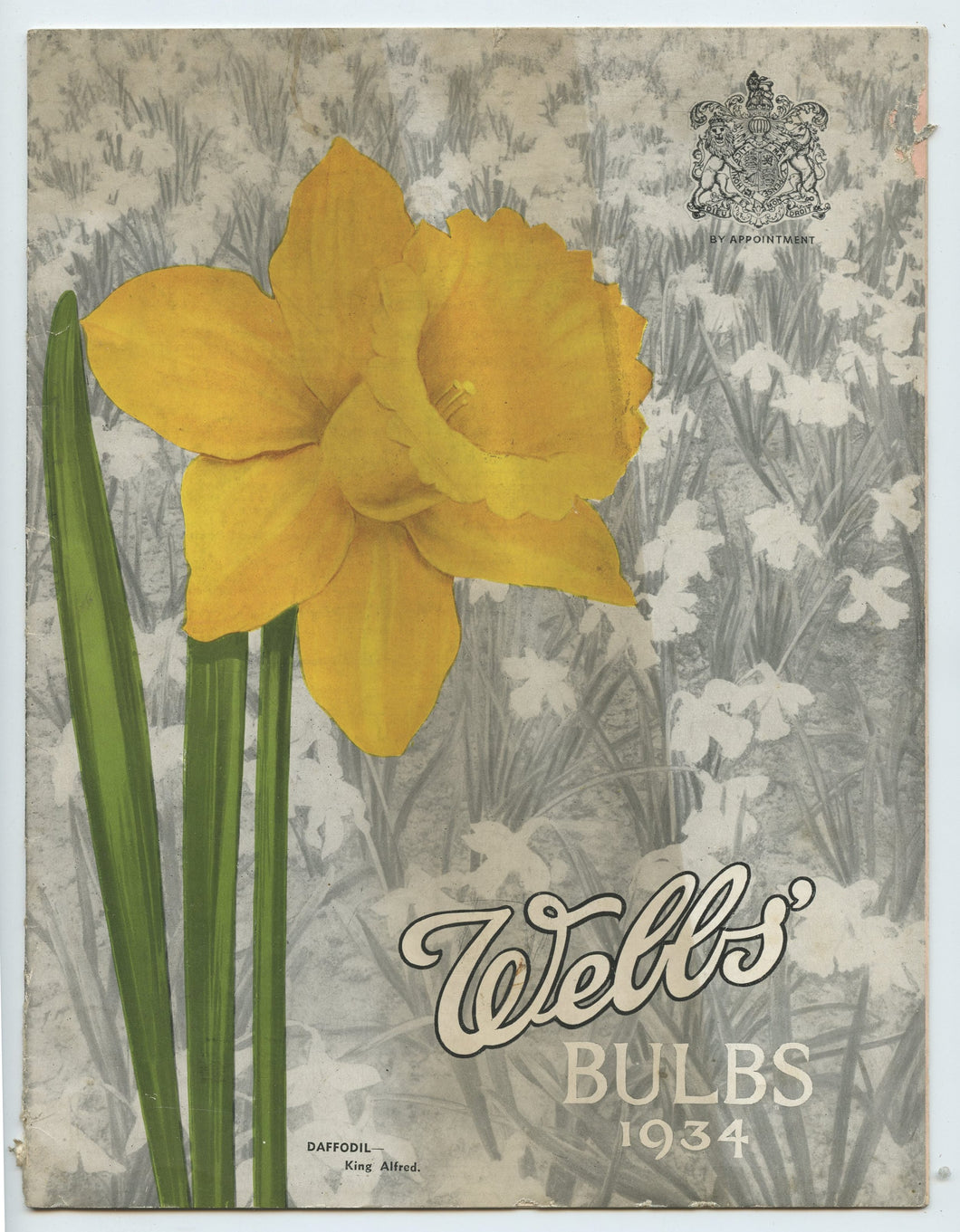 Webbs' Bulbs 1934