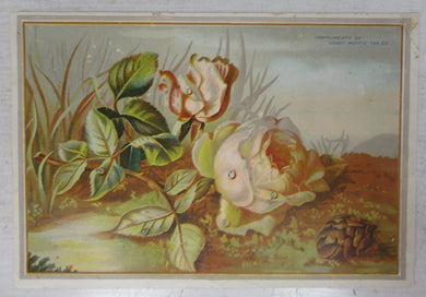 Union Pacific Tea Co. flyer