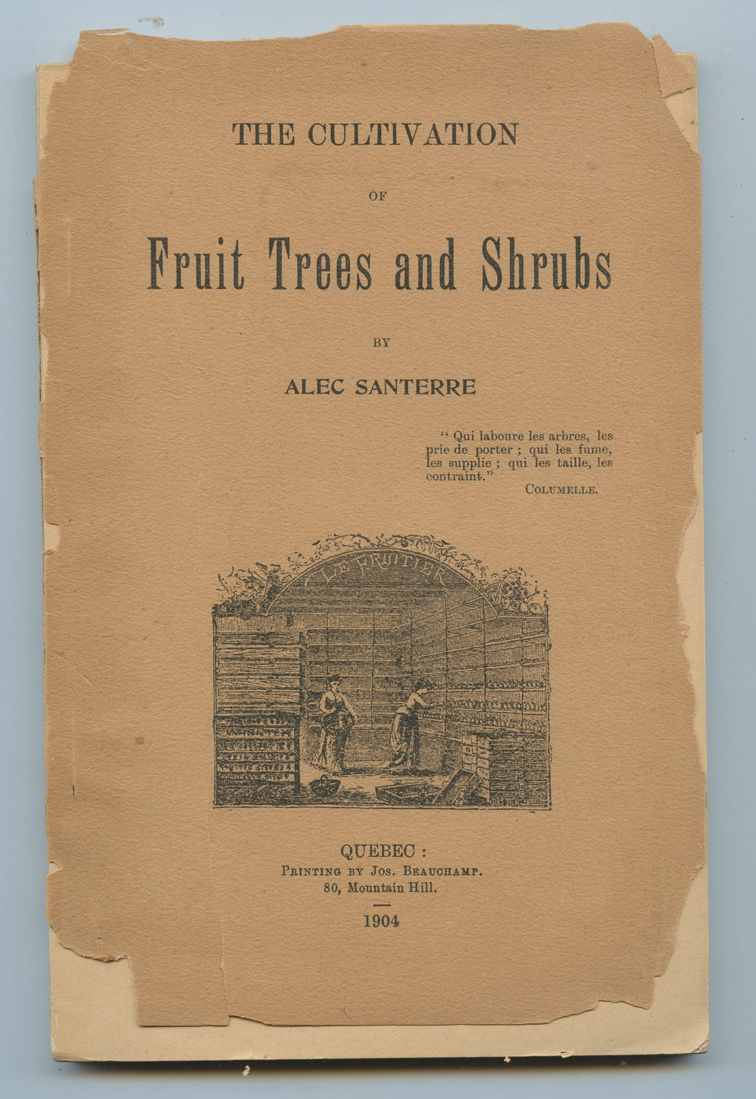 The Cultivation of Fruit Trees and Shrubs
