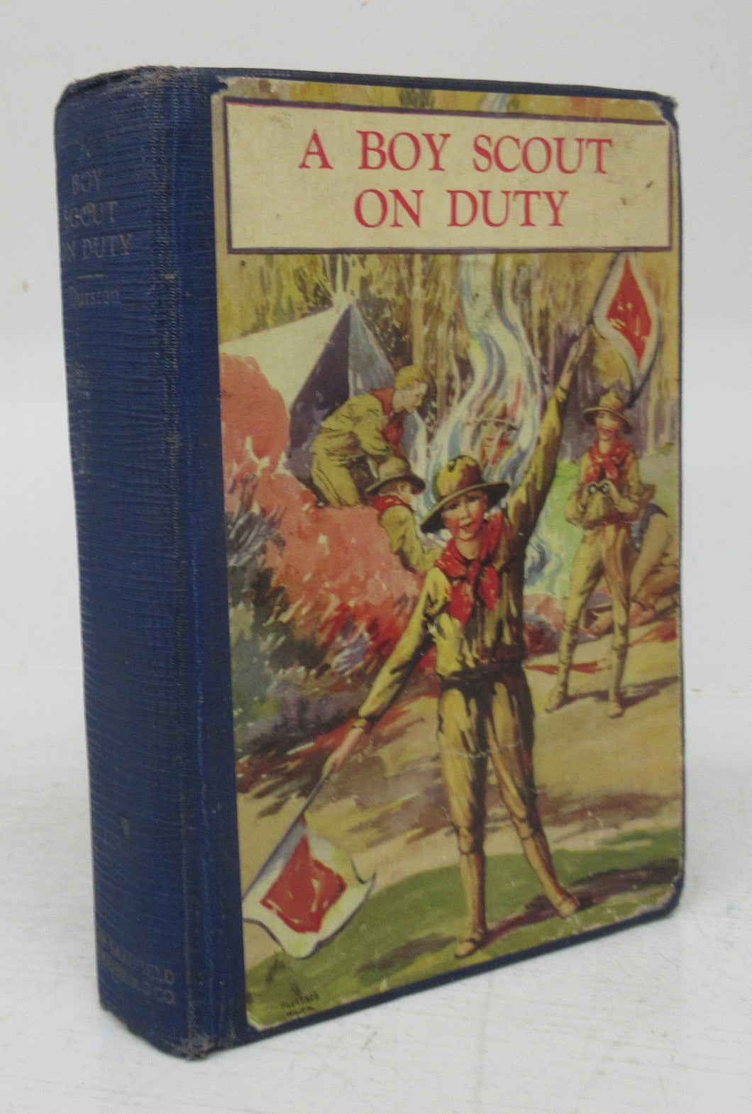 A Boy Scout On Duty