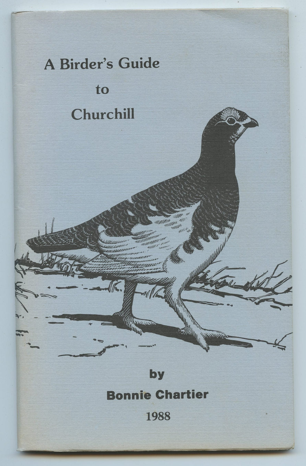 A Birder's Guide to Churchill