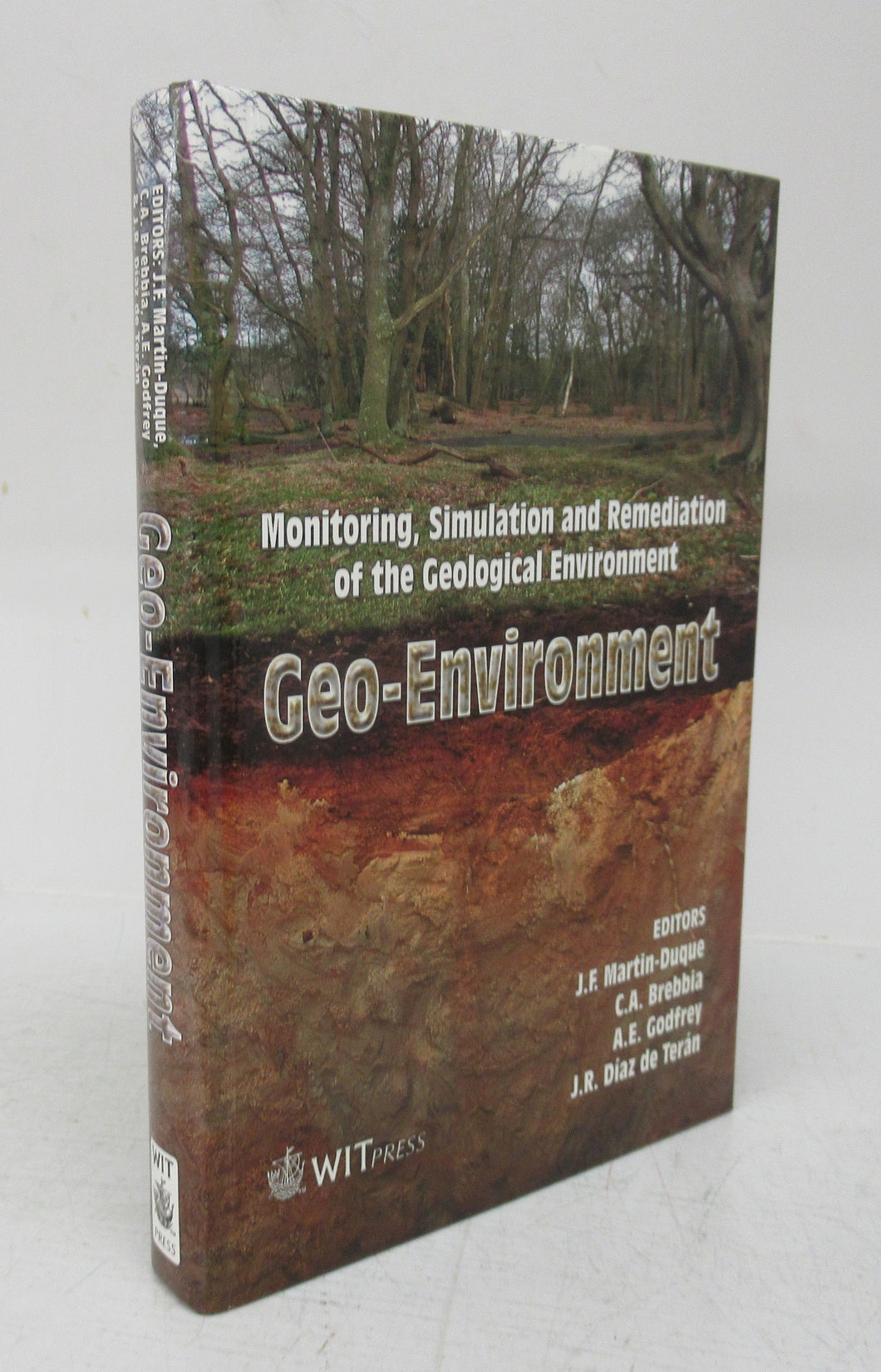 Monitoring, Simulation and Remediation of the Geological Environment