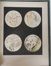 Report on the Scientific Results of the Voyage of H.M.S. Challenger During the Years 1873-76. Narrative - Vol. II only