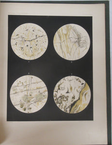 Report on the Scientific Results of the Voyage of H.M.S. Challenger During the Years 1873-76. Narrative - Vol. II only